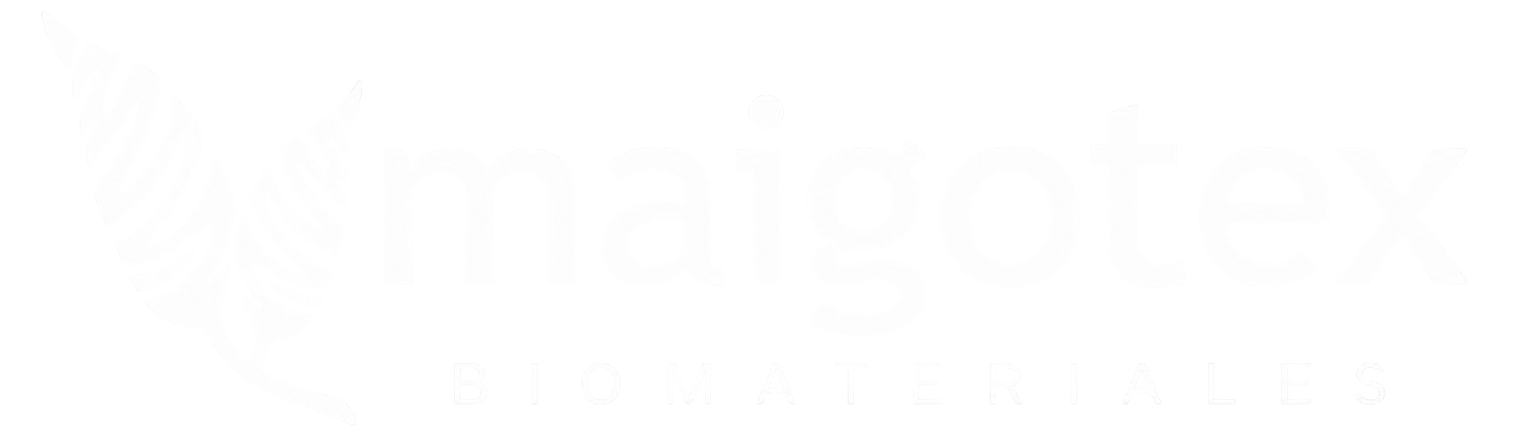 cropped-807aee85-9a12-4c97-8ae0-538c1643fe04.png